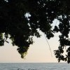 Balaton Sound 2.nap L.T. - hbs54.jpg