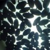 velencei biennale II. - bia28.jpg