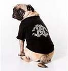 Cavalli for dogs