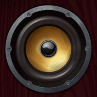 Deekline-Chachacha 12inch