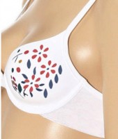 Paintable bra