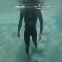 Free Fall