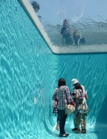 Japanese fake pool