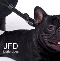 JFD - justfordogs