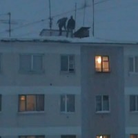 Orosz téli olimpia